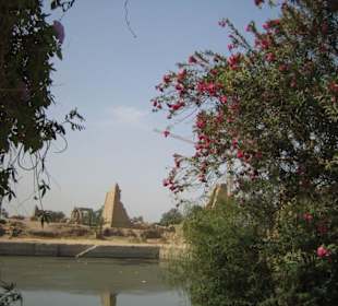 Der Tempelsee im Karnak Tempel.