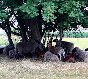 Wanderung Halbinsel Gnitz