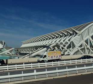 Neues Naturmuseum-Valencia