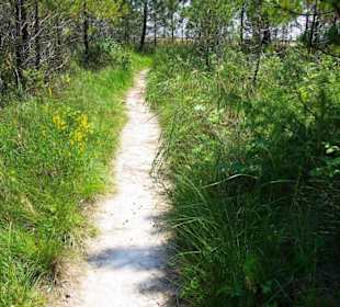 Naturreservat kleine Wege zum Strand