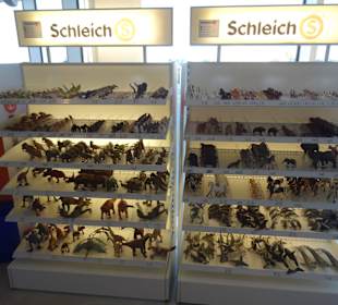 Das übliche am Ausgang