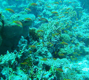 Tauchen bei der Dive Connection