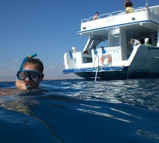 Schnorcheltour Dolphinhouse