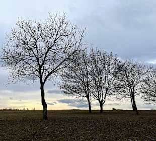 Wandern Bad Tatzmannsdorf