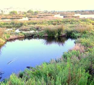Das Naturschutzgebiet am Hotel