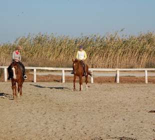 20x60m. dressage arena