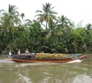 Mekong Delta