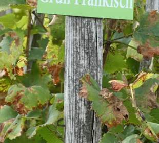 Beim terroir f (oberhalb von Ramsthal)