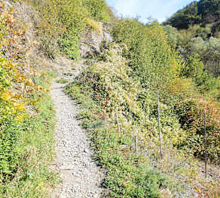 Moselsteig