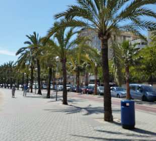 Hafen von Palma de Mallorca im März 17
