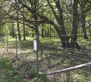 Wanderweg Hochgehwachsen