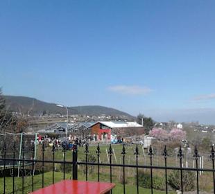 Mandelblütenfest Gimmeldingen