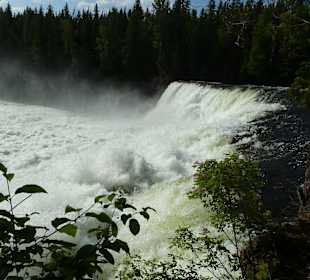 Dawson Falls 