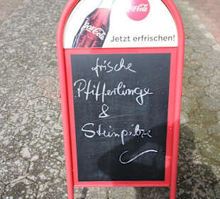 Gastronomie am Dümmer