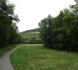 Nordic Walking Bad Mergentheim