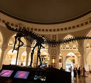 Ausflug mit dubai-privat.de