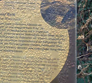 Botanischer Garten