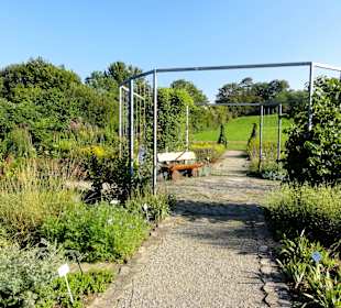 Impressionen aus dem Botanischen Garten