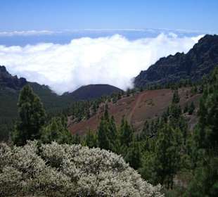 Parc National del Teide
