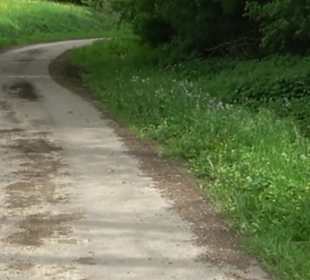 Naturpark Schönbuch