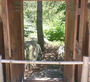 Koreanischer Garten