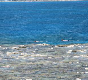 Schnorcheln an einem sehr schönen Riff