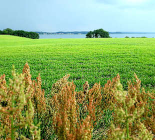 Wanderung Loddiner Höft