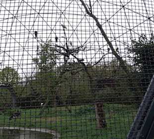 Tierpark 