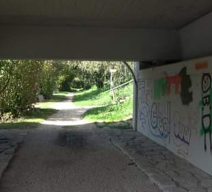 Schaukelweg an der Donau