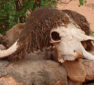 Begrüßung am Bachuma Gate