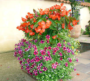 "Blumenreich" Gartenpark