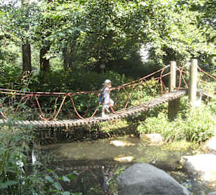 Wildbach