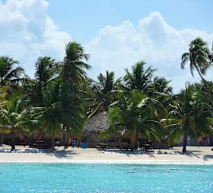 Ausflug nach Insel Catalina 