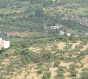 Auf dem Weg von Georgioupolis nach Likotinera.