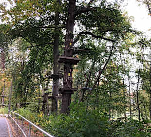 Wandern Thale