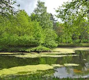 Impressionen aus dem Achterdiekpark