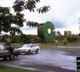 Eingang zur Kiwi-Plantage