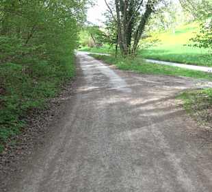 Walderlebnisweg Rottenburg