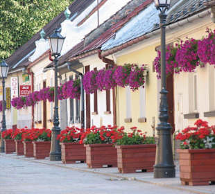 Ulica Kazimierza Wielkiego