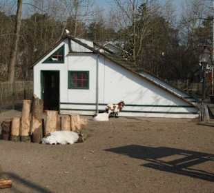 Kleintierzoo De Haan