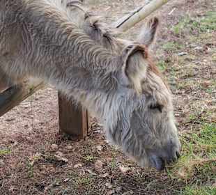 Wandern Georgioupolis