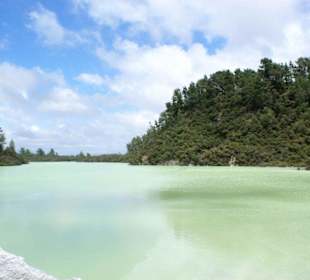 Grüner See im Waiotapu Thermal Wonderland