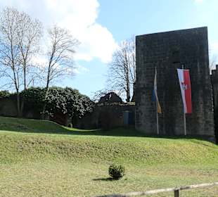 Burg Salzburg, ca. 60 Meter über Bad Neustadt