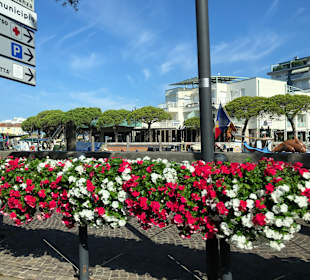 Hafen Caorle