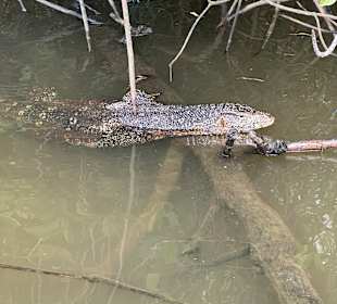 Tony Sri Lanka Tours