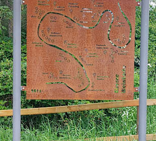 Wandern Bruttig-Fankel