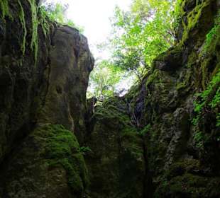 Wanderung zum Bärenfels