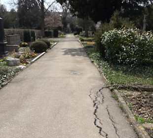 Alter Friedhof