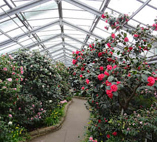 Wilhelma Stuttgart