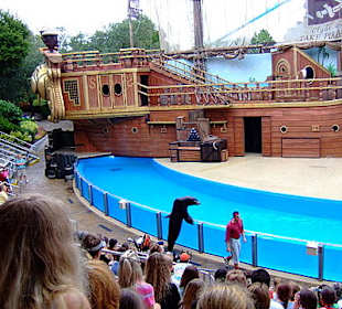 Sea World